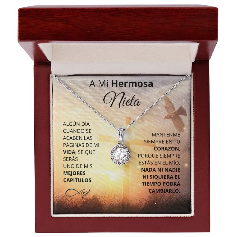 A mi hermosa Nieta| Algun dia cuando se acaben las paginas de mi vida