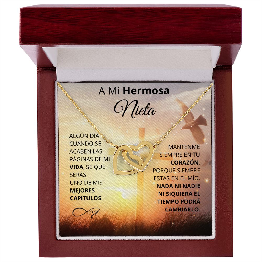 A mi hermosa Nieta| Algun dia cuando se acaben las paginas de mi vida