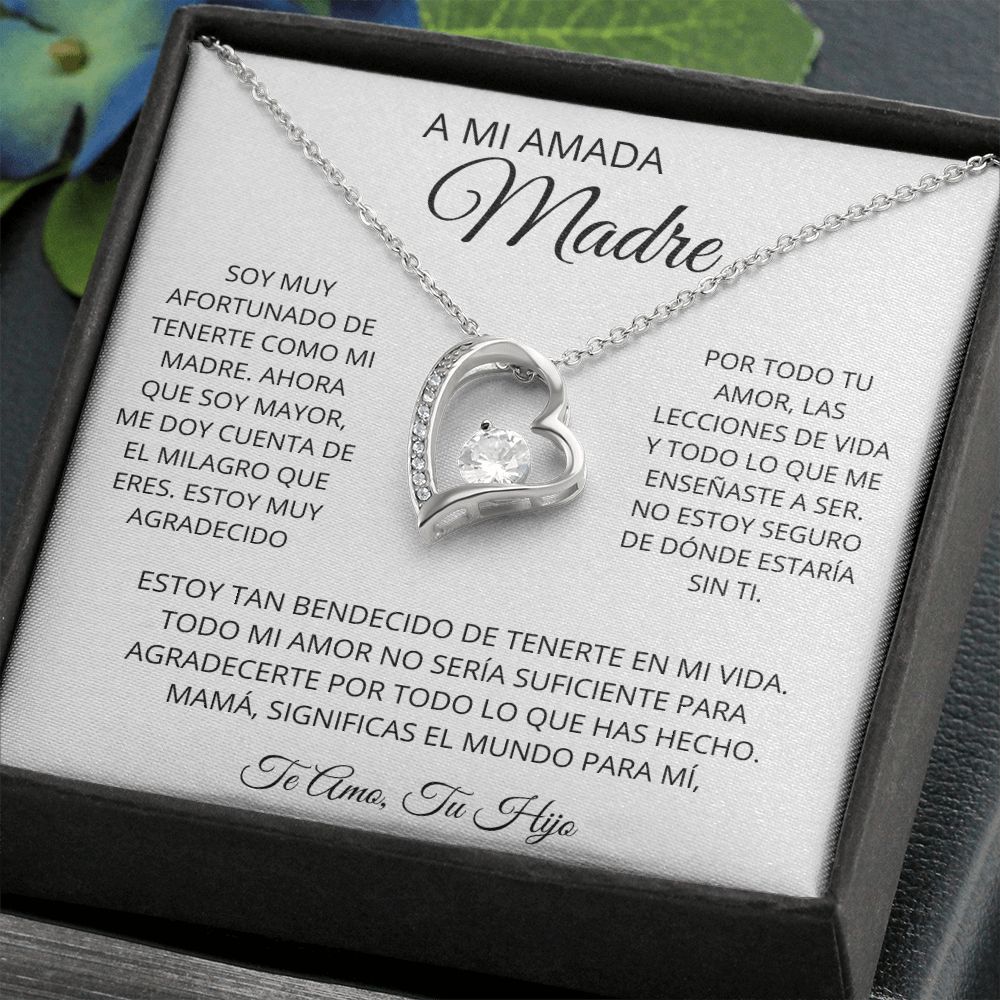 A MI AMADA MADRE| REGALO PARA MADRE, REGALO PARA MAMÁ | REGALO- MAMA
