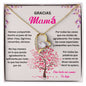 Mother Meaningful Gift in Spanish, Regalo Gracias Mamá, Mamas Valentine Day Gift, Collar Para Mamá, Regalo Para Madre with Message Card