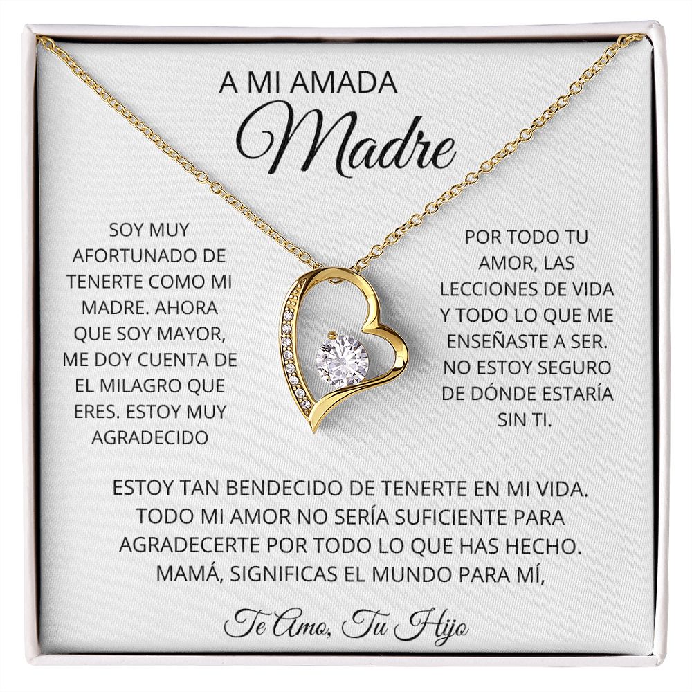 A MI AMADA MADRE| REGALO PARA MADRE, REGALO PARA MAMÁ | REGALO- MAMA