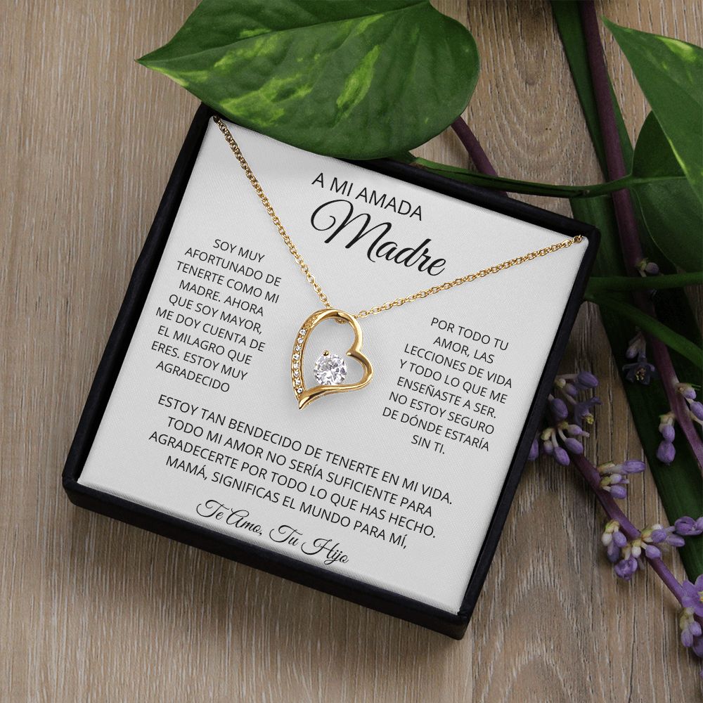 A MI AMADA MADRE| REGALO PARA MADRE, REGALO PARA MAMÁ | REGALO- MAMA