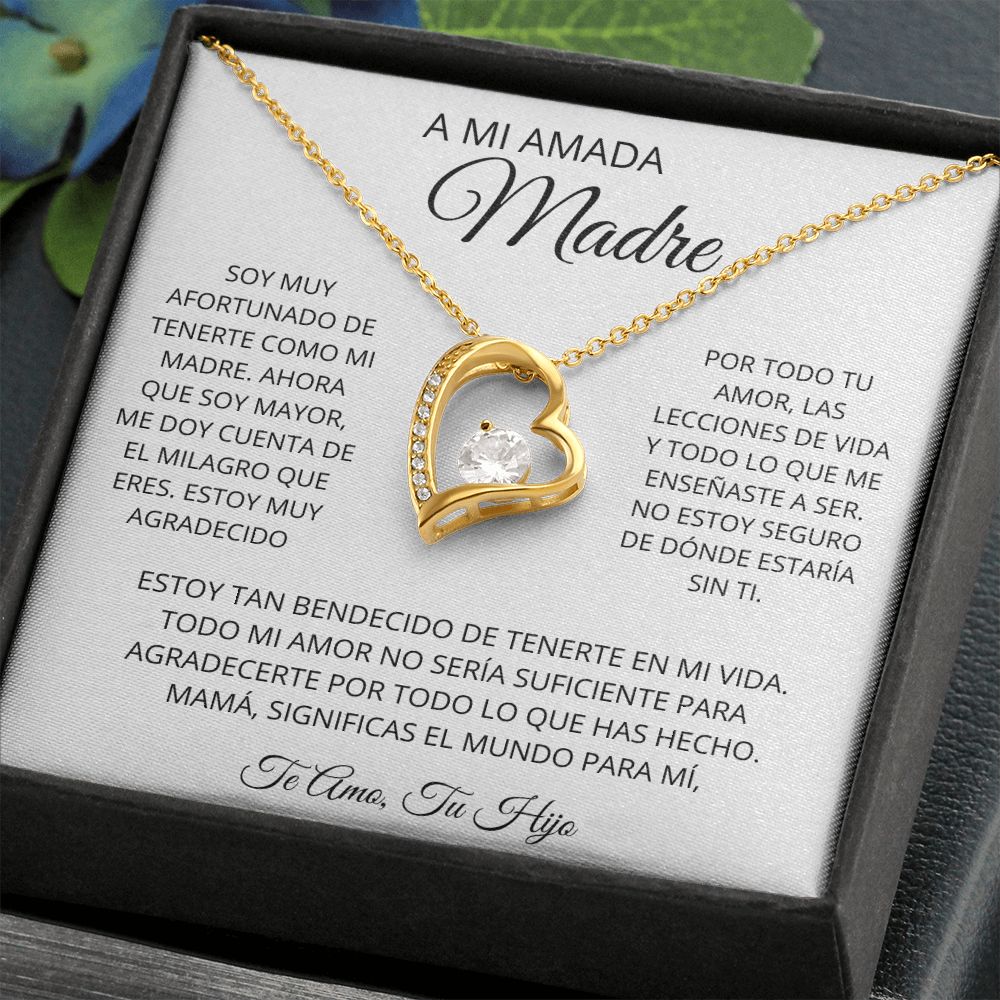A MI AMADA MADRE| REGALO PARA MADRE, REGALO PARA MAMÁ | REGALO- MAMA